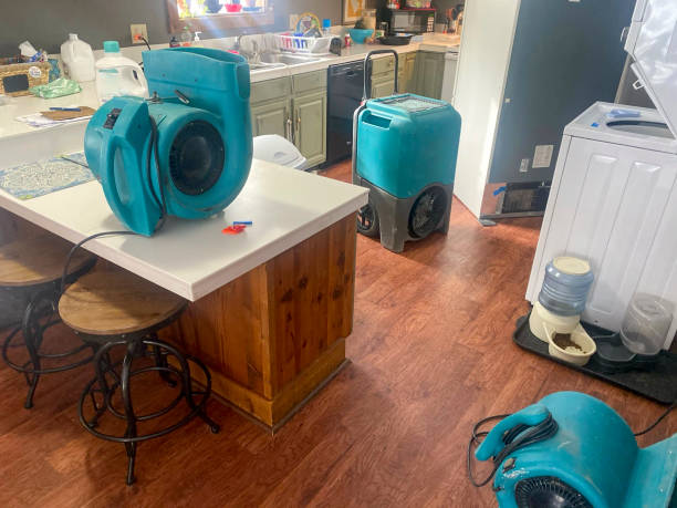 Best Flooded house restoration  in Dimondale, MI