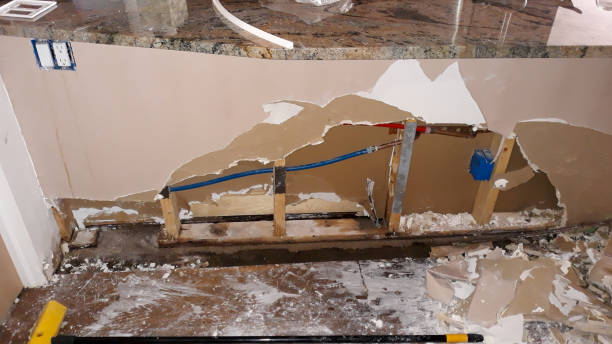 Best Fire Damage Restoration  in Dimondale, MI